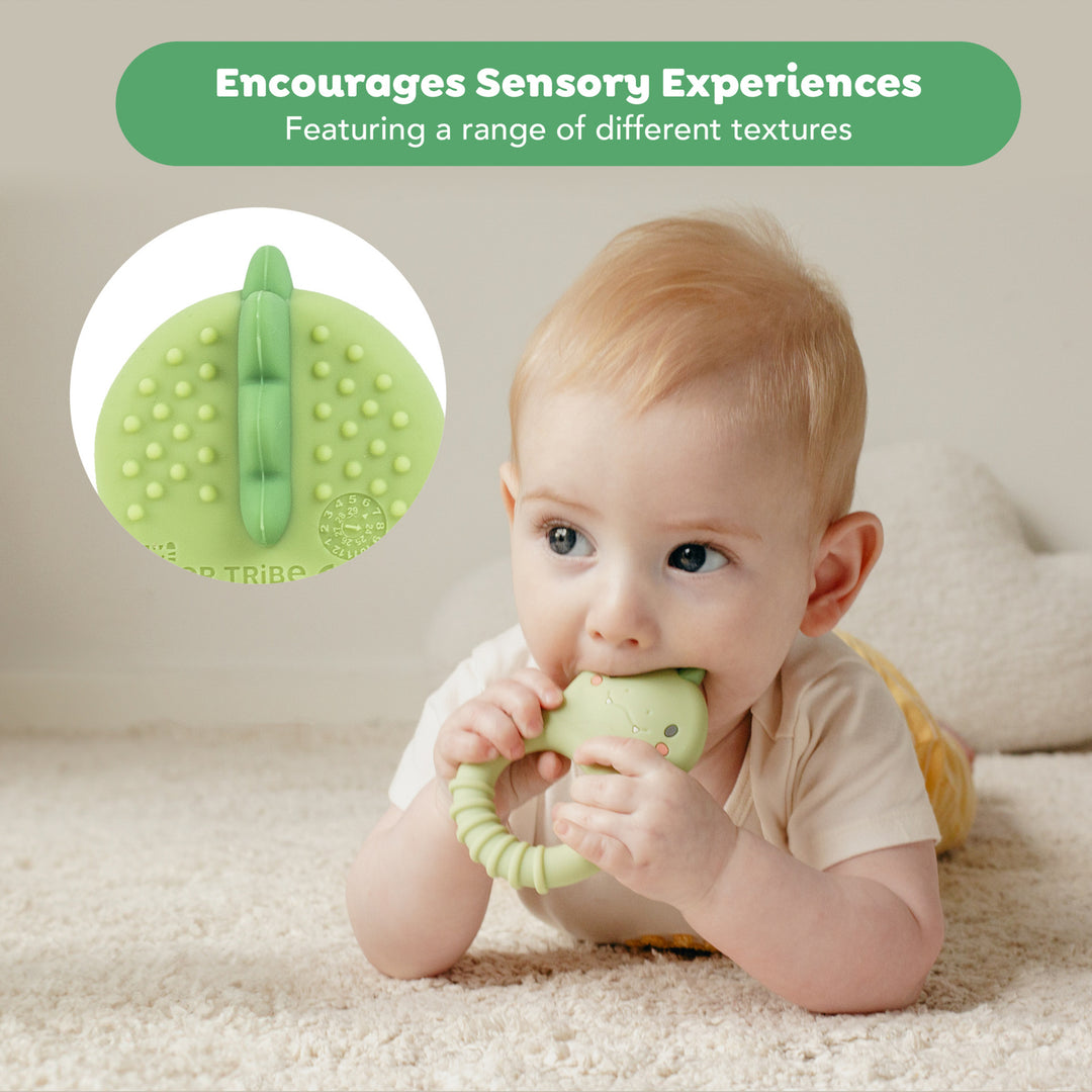 Silicone Teether - Dino