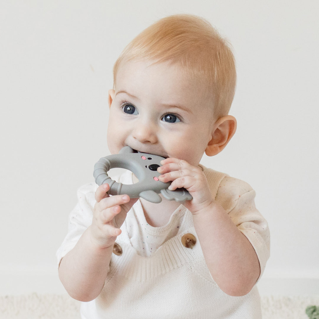 Silicone Teether - Koala
