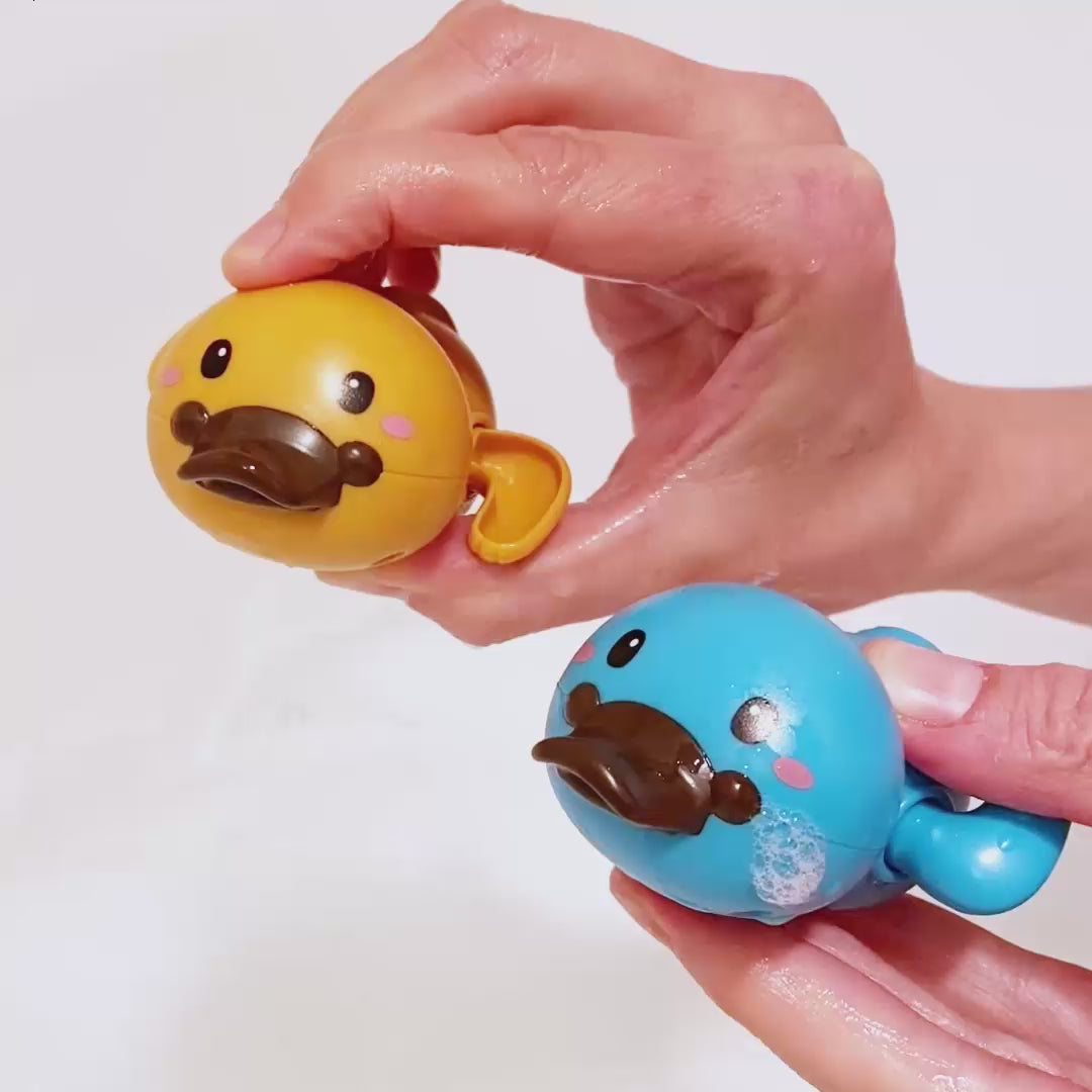Bath Racers - Platypuses