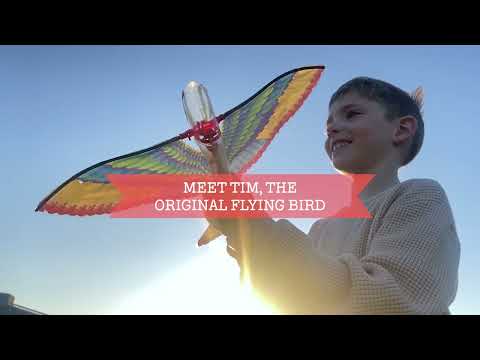 Tim - The Original Flying Bird