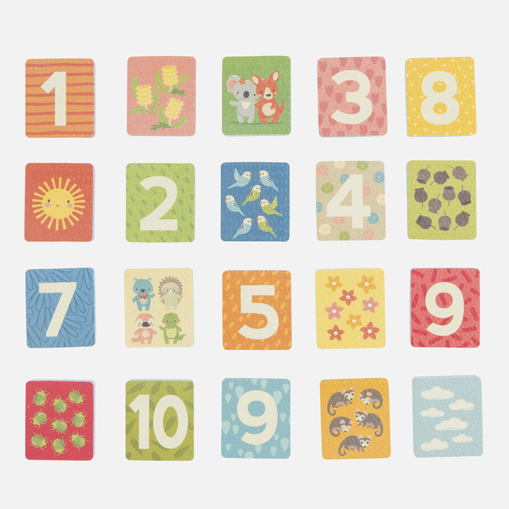 Splash Cards - Count and Match