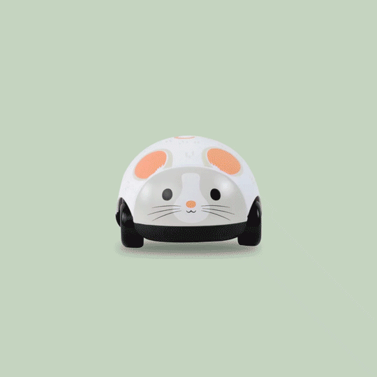 Zoomies - Cat and Mouse