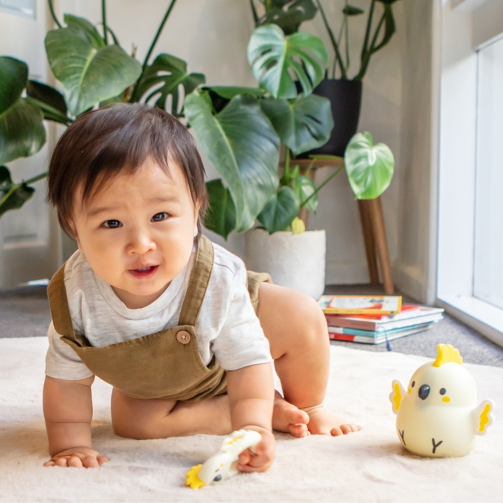 Silicone Teether - Cockatoo