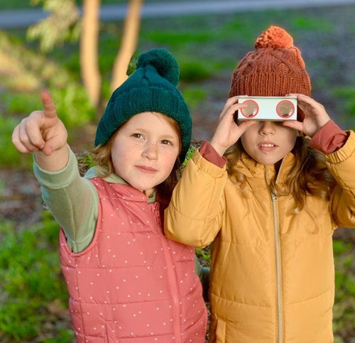 Paper Binoculars - Bird Spotter