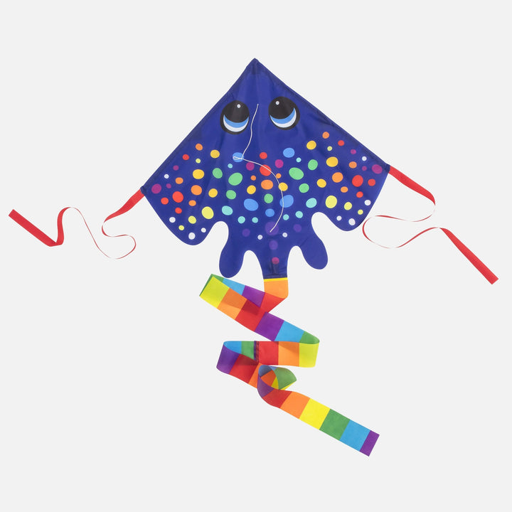 Rainbow Ray Kite