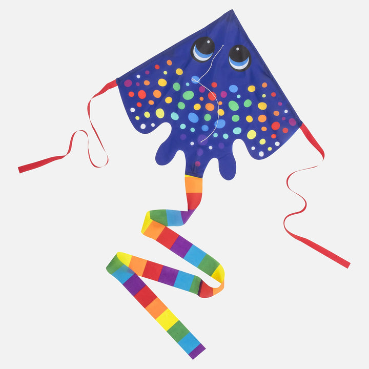 Rainbow Ray Kite
