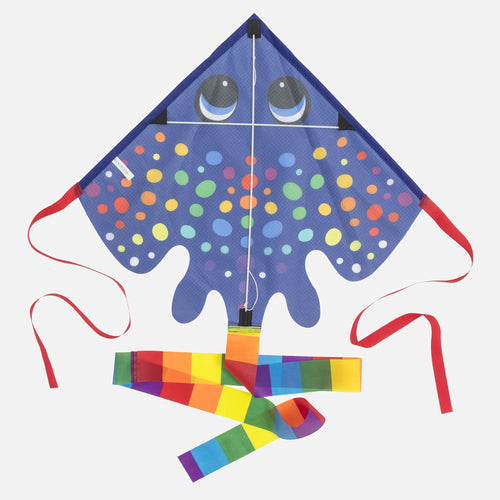 Rainbow Ray Kite